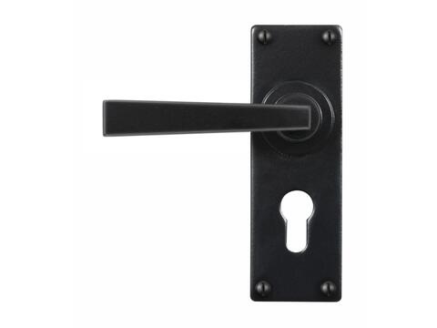 Arundel Euro Lock Plate 48mm Flat Black